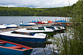 Pulvermaar bei Gillenfeld, Eifel, Rheinland-Pfalz, Deutschland, Europa