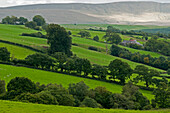 Landscape near Chapel Garmon, Snowdonia National Park, Wales, UK