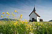 Blick auf Saalenberg Kapelle im Frühling, Hexental, Schwarzwald, Baden-Württemberg, Deutschland, Europa