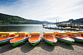 Boats on shore of lake Titisee, Black Forest, Baden-Wuerttemberg, Germany, Europe