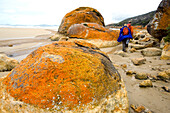 Granite rocks at Oberon Bay, Wilsons Promontory National Park, Victoria, Australia