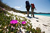 Two hikers on the beach, Waterloo Bay, Wilsons Promontory National Park, Victoria, Australia