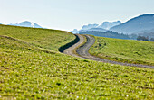 Wiese und Berge im Blauen Land im Frühling, Murnau, im Hintergrund der Scharfreiter, Oberbayern, Deutschland, Europa