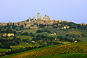 Blick über Weinberge auf San Gimignano, Toskana, Italien