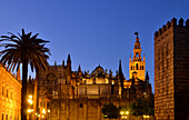 Die beleuchtete Kathedrale Santa Maria de la Sede und der Turm La Giralda am Abend, Sevilla, Andalusien, Spanien, Europa