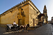 Pferdekutsche vor der Kathedrale La Mezquita, Cordoba, Andalusien, Spanien, Europa