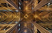 Ceiling, Notre Dame Cathedral, Paris, France