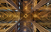 Deckengewölbe, Kathedrale Notre-Dame de Paris Paris, Frankreich