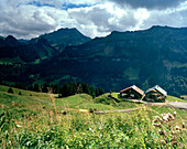 Alp cottages,alp near Bizau, Bregenzerwald forest, Vorarlberg, Austria