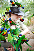 Ranger mit Rainbow Lorikeet Papageien im Bungalow Bay Koala Village, Horseshoe Bay, Nordküste Magnet Island, Great Barrier Reef Marine Park, UNESCO Weltkulturerbe, Queensland, Australien, Weltnaturerbe