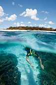 Diver in front of Wilson Island, part of the Capricornia Cays National Park, Great Barrier Reef Marine Park, UNESCO World Heritage Site, Queensland, Australia
