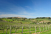 San Gimignano mit Weinbergen im Vordergrund, UNESCO Weltkulturerbe San Gimignano, San Gimignano, Toskana, Italien