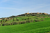 Blick auf Pienza, Val d’Orcia, Toskana, Italien