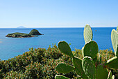 Kakteen und Macchia an der Mittelmeerküste mit Inseln Gemini im Mittelgrund und Insel Montecristo im Hintergrund, Südküste Insel Elba, Mittelmeer, Toskana, Italien
