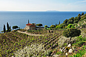 Manor at Mediterranean coast, Corsica in background, near Pomonte, Elba Island, Tuscany, Italy