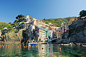 Blick über Bucht mit Hafen auf Riomaggiore, Cinque Terre, Ligurien, Italien