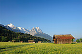 Meadow with flowers and hay sheds in front of Alpspitze, Zugspitze range and Waxenstein, Garmisch-Partenkirchen, Wetterstein range, Werdenfels, Upper Bavaria, Bavaria, Germany, Europe