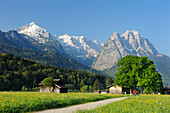 Track leading through meadow with flowers and hay sheds in front of Alpspitze, Zugspitze range and Waxenstein, Garmisch-Partenkirchen, Wetterstein range, Werdenfels, Upper Bavaria, Bavaria, Germany, Europe
