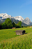 Meadow with flowers and hay sheds in front of Wettertein range with Alpspitze, Zugspitze and Waxenstein, Garmisch-Partenkirchen, Wetterstein range, Werdenfels, Upper Bavaria, Bavaria, Germany, Europe