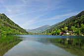 View of Lake Afritzer See, Carinthia, Austria, Europe