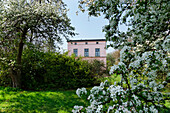 Blühende Bäume im botanischen Garten, Leipzig, Sachsen, Deutschland, Europa
