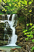 Wasserfall eingerahmt von grünem Laub, Wendelsteinregion, Bayerische Voralpen, Oberbayern, Bayern, Deutschland, Europa
