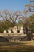 Ballcourt (AD 731), Great Plaza, Mayan ruins of Copan, Copan Ruinas, Honduras