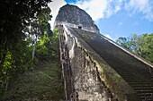 Steep stairs up Temple V, Tikal, El Peten department, Guatemala