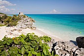 The Castle. Mayan ruins of Tulum. 1200_1524. Quintana Roo. Mayan Riviera. Yucatan Peninsula. Mexico.