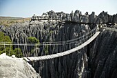 Tsingy de Bemaraha, Parque Nacional de los Tsingy de Bemaraha, Patrimonio de la Humanidad de la UNESCO, Mahajanga, Madagascar