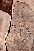 Rocks carvings, Wadi Matkhandoush, Wadi Matkhandoush, Ghat, Libia