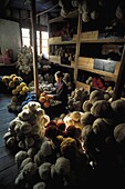 Yak fibre weaver, Poga Sumdo litte village inhabited by Tibetan refugees on the way to Lake Moriri area, Rupshu Valley, Ladakh, Jammu and Kashmir, India