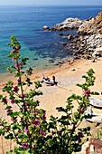 Es Codolar beach, Playa de Es Codolar, Tossa de Mar, Costa Brava, Catalonia, Spain, Europe