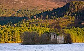 Scotland, Scottish Highlands, Cairngorms National Park Castle located on Loch an Eilein, surrounded by the Caledonian Forest of the Rothiemurchus Estate
