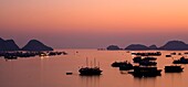 Vietnam, Northern Vietnam, Halong Bay The pink sunset afterglow at dusk over Cat Ba harbour on Cat Ba Island