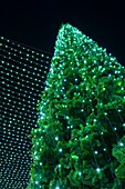 England, County Durham, Durham City Christmas Tree in the Market Place of Durham City