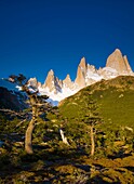 Argentina, Patagonia, Los Glaciares National Park Early morning light on the foothills of the Fitz Roy range, by the Poincenot campsite