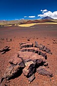 Argentina, Mendoza, Parque Provincial Payunia The barren volcanic landscape of the reserve