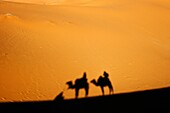 Morocco, Central Morocco, Merzouga Camels, tourists and guides shadows are cast on the dunes of the Erg Chebbi in the Sahara Desert