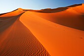 Morocco, Central Morocco, Merzouga The undulating shapes of the dunes of the Erg Chebbi, part of the Sahara desert