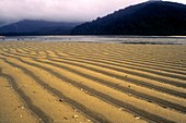 NEW ZEALAND, Marlborough, Able Tasman National Park The natural patterns of the Awaroa Estuary