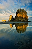 Second Beach - Olympic national park