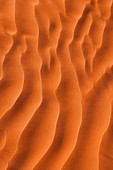 Pink sand dunes detail