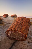 Sunset at Petrified forest national park