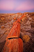 Sunset over Petrified forest national park