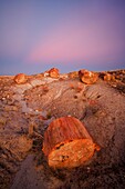 Sunset over the Petrified forest national park