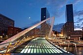 Zubi Zuri Bridge, Bilbao, Bizkaia, Spain