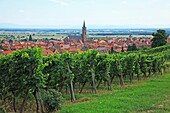 France, Alsace, Route du Vin d'Alsace, Bambach La Ville