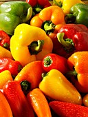 Mixed red, green, yellow & orange fresh bell peppers