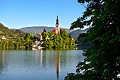 Assumption of Mary Pilgrimage Church in the middle of Lake Bled Slovenia